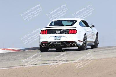 media/Nov-01-2025-PCA Central Coast (Sat) [[5e27ded23e]]/White Group/Grapevine/